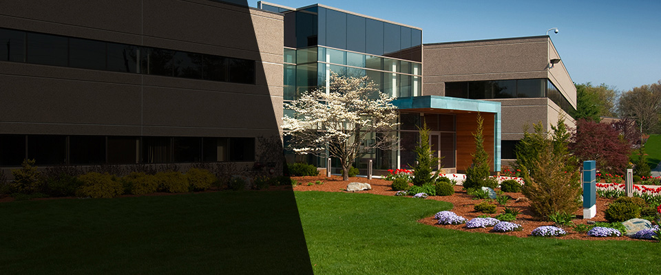 Wilton Landscapers