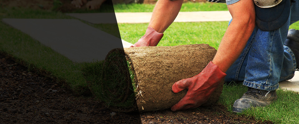 Wilton Landscapers